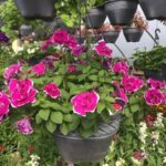 trout creek acres and greenhouse profile Big Map Home
