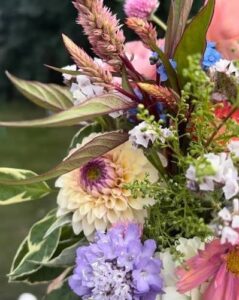 walnut creek farm and florals header Big Map Home