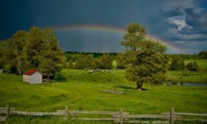 wholearth farmstudio header Big Map Home